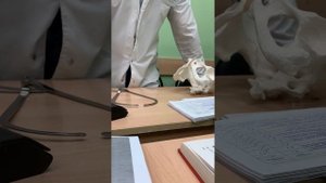 Сбор акушерско-гинекологического анамнеза