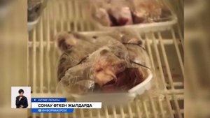 90 жылдардағы тоқыраудан «аман шыққандар» сол кездегі қиын жағдайларды еске алды