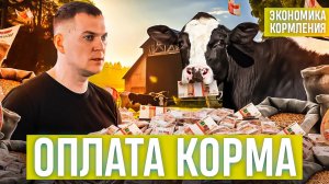 Оплата корма