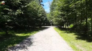 Дендропарк. Новосибирск.