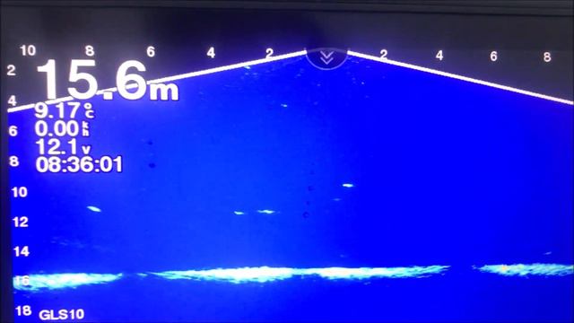 Garmin Panoptix. Судак на экране........ - # 035 #zander #судак #ловлясудака