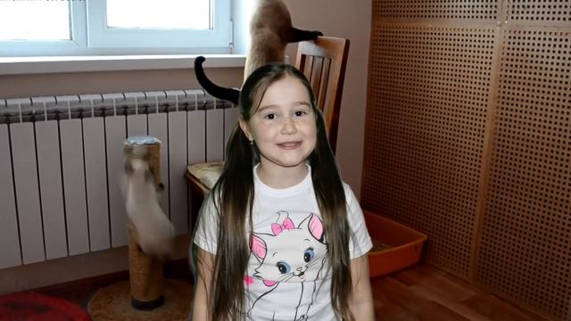 Стихотворение "Котята" Сергей Михалков