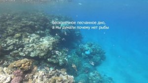 Стоит ли ехать в Египет с целью РЫБАЛКИ? Конечно ДА!!! Путешествие в новые места, рыбалка в Египте