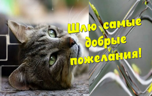 Добрый День!