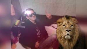 ШОК! ЛЕВ НАПАЛ НА ЧЕЛОВЕКА! СМОТРЕТЬ ВСЕМ!!!!