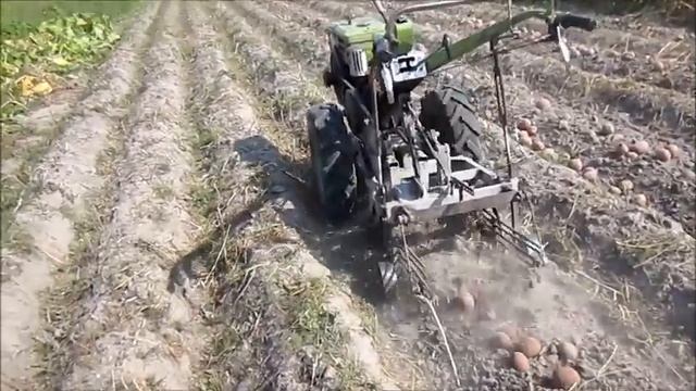 Копка картоплі мотоблоком 2018.Сорт "Беллароза". смотреть онлайн