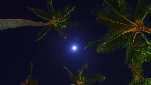 Спокойная музыка и красивая природа: рыбки, бабочка, леса, горы, реки, озера смотреть онлайн