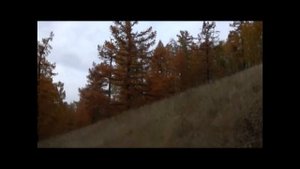 Санаторий Чебаркульский!Челябинская область. Рай для души!
