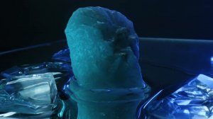 ДО42 Семенец Макросъёмка