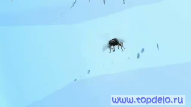 Как начать Свой бизнес и заработать Умные деньги смотреть онлайн