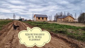 Кот Мурлок помогает по хозяйству: строит вольер и стережёт мышей