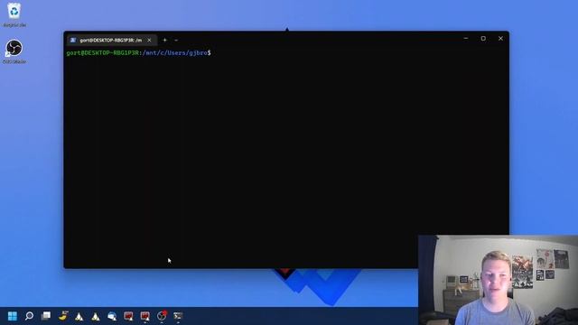 WSL2 Setup Tour смотреть онлайн