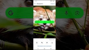 Как ИЗМЕНИТЬ ЦВЕТ ГУГЛ Поисковика на своем смартфоне..