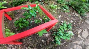 Куда сходить в Сочи??? БЕЛЫЕ СКАЛЫ.