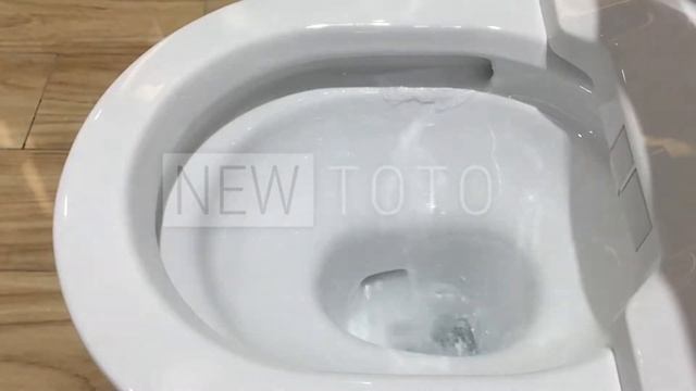 Крышка-биде TOTO Washlet 4732 + унитазы: автооткрывание и смыв. Японская электронная сантехника