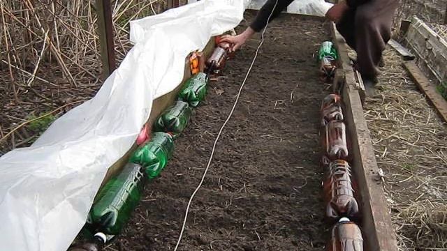 Теплая грядка весной для рассады (укр.) смотреть онлайн