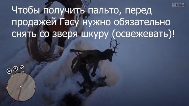 Как получить пальто Мраморный Хвост и где искать Легендарную лису в Red Dead Redemption 2 Online PC