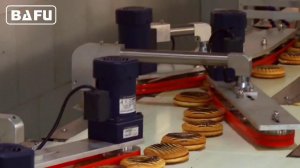 Горизонтальная упаковочная линия,автоматическая подача к упаковочной машине