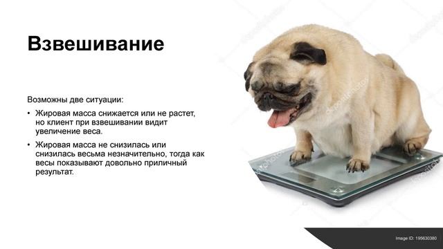 Снижение веса (7 часть) смотреть онлайн