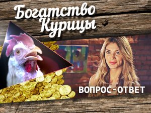 Богатство Курицы: Лариса отвечает на вопросы