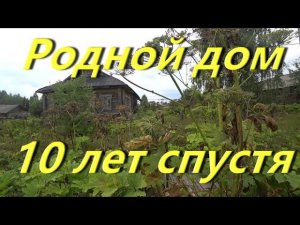 Мурашинский район. Полуразрушенную церковь в селе Боровица. Родной дом в д Козаковщина 10 лет спустя