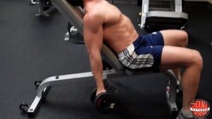 How To: Seated Incline Dumbbell Bicep Curl