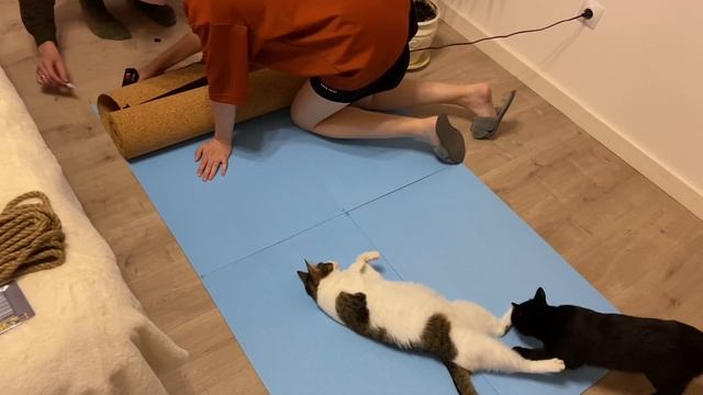 DIY| Пробковая доска своими руками ???? смотреть онлайн