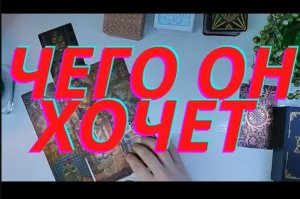 ?_?_?_Чего он хочет⚠️⚠️⚠️