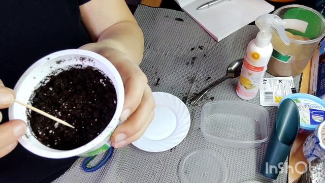 посев, бакопа из семян. 01.02.23 смотреть онлайн