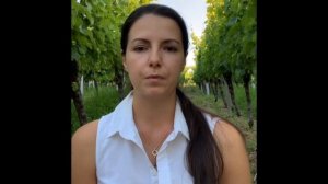 Немецкие сорта винограда