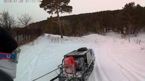 Мотобуксировщик МУЖИК! сосновый лес