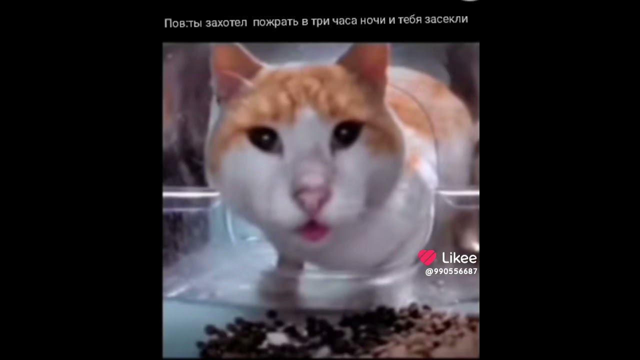 рил тебя засекли смотреть онлайн