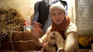 ТАКОГО КРАСАВЧИКА, БУДУЩЕГО САМЦА ЕЩЕ НЕ БЫЛО У НАС. [Жизнь в деревне]