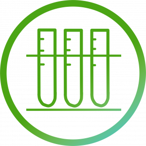 Гальцева Ольга Николаевна_фрагмент урока_Аннинский Лицей.mp4