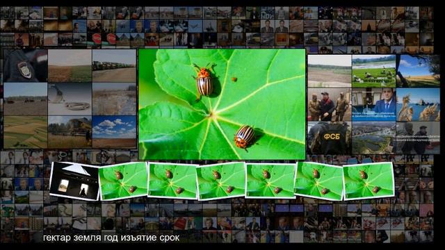 В Госдуму внесли законопроект об изъятии неиспользующейся земли смотреть онлайн