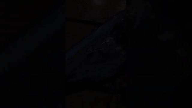 Сделали крутой свет на Ceed JD??