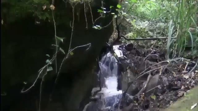 Как избавиться от тщеславия Святые отцы — мирянам смотреть онлайн