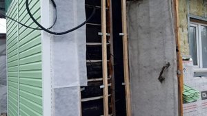 Хроника дачного строительства На огурцы напал паутинный клещ Томаты Монгольский карлик