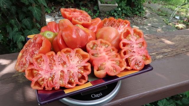 Tlacolula Pink Tomato смотреть онлайн