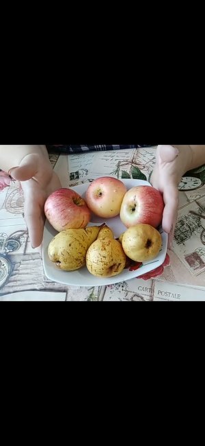 Копилка рецептов -Пирог Осений поцелуй ??.