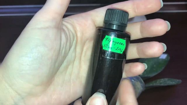 Мои орхидейные новиночки Phal. OX Black Face и Cranberry Cha Cha. смотреть онлайн