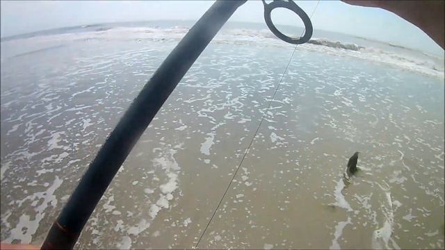 How to Avoid Seaweed on Oak Island смотреть онлайн