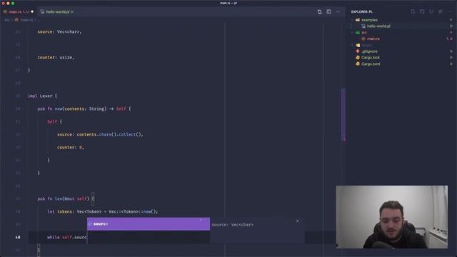 Writing a Lexer - Building a Programming Language in Rust