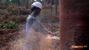 AFRICA EQUATORIAL GUINEA ЭКВАТОРИАЛЬНАЯ ГВИНЕЯ Африка