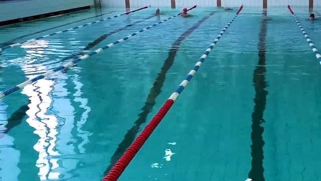 Плаваем с пользой для здоровья и слушаем статусы умных людей смотреть онлайн