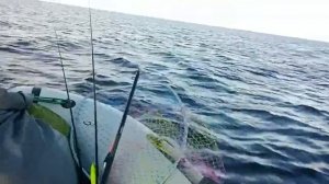 Надувная лодка X-River Grace 360 + Tohatsu 9.8