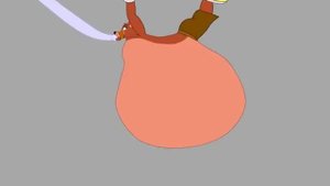 Strug up Foxy