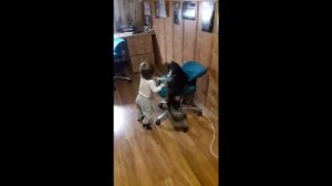 Мейн-Кун и дети.