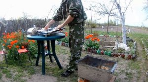 Как закоптить рыбу? Копченые хребты лосося. Вкусный рецепт #рыбагорячегокопчения#копчениерыбы