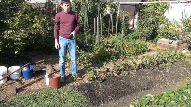 Посев сидератов. Осенняя обработка почвы смотреть онлайн